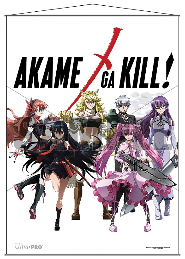 Akame Ga Kill! Wall Scroll: Heroines Box Front