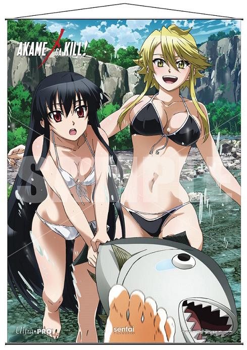 Akame Ga Kill! Wall Scroll: Fishing Box Front